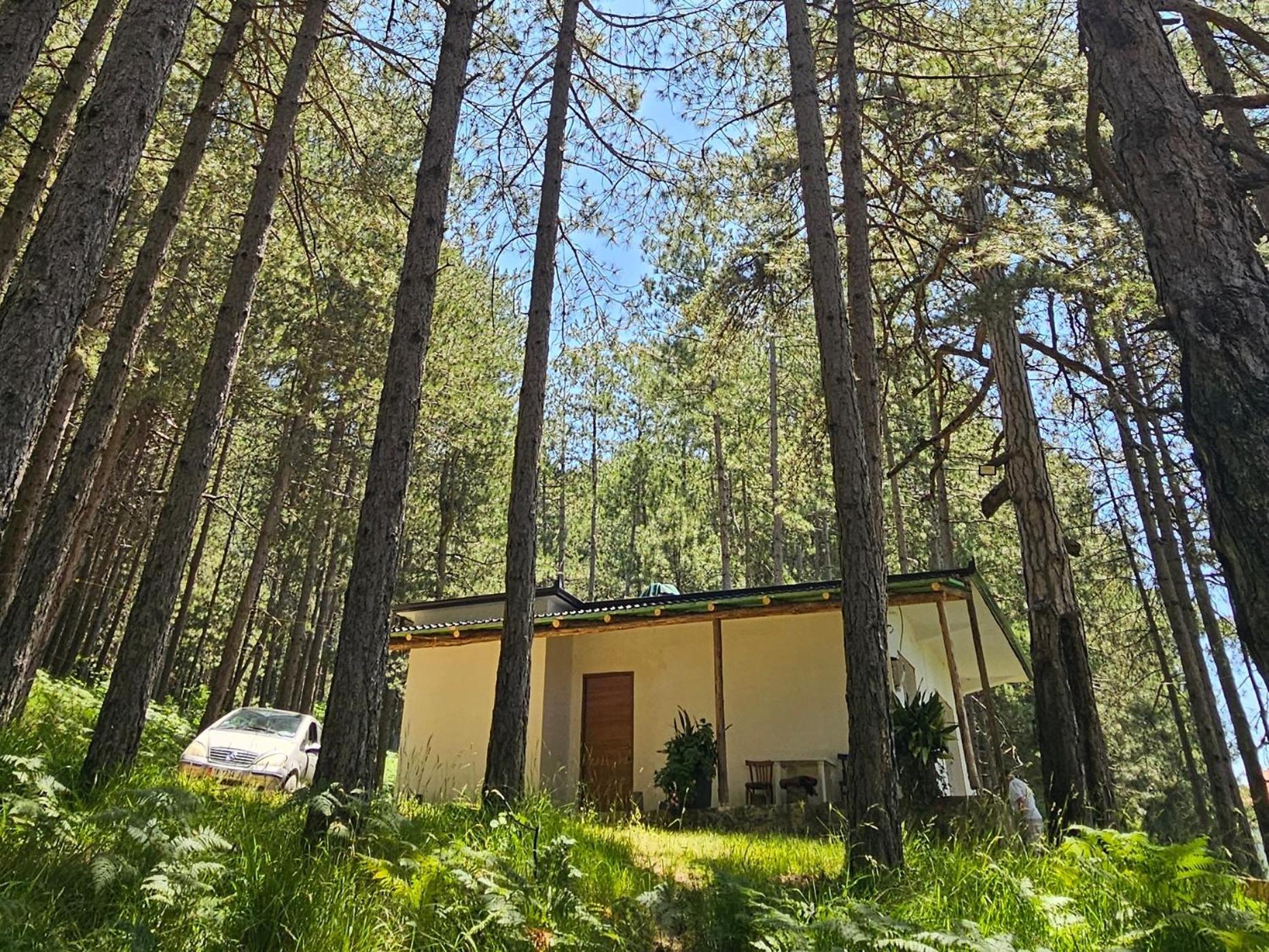 Сasa de vacaciones Bujtinat Skenderi 2 Gjinar