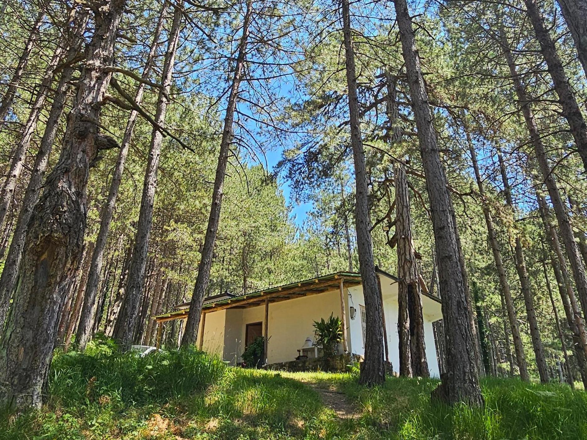 Сasa de vacaciones Bujtinat Skenderi 2